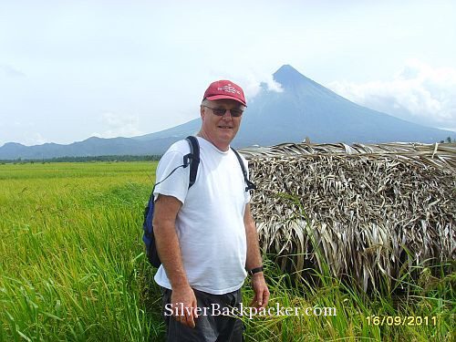 Mayon from the rice fields