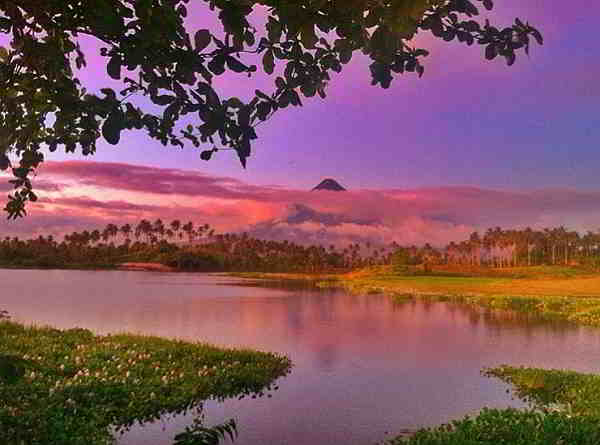 Mayon from gabawan lake