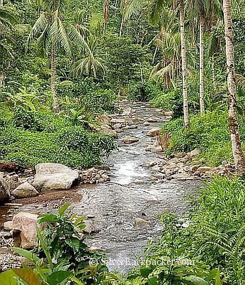 Trail to Oras Falls, Tabaco, Albay Trail to Oras Falls, Tabaco, Albay