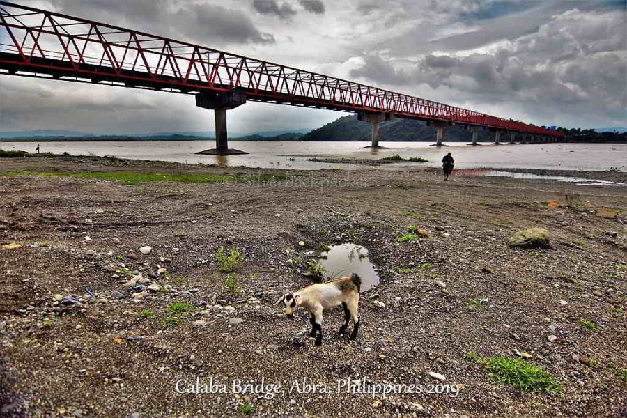 Calaba Bridge, Abra, Philippines and a Goat 2019