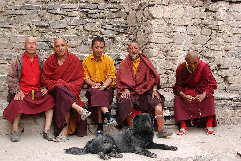 Monks_at_Hemis_Gompa_Ladakh. Photo by Karunakar Rayker