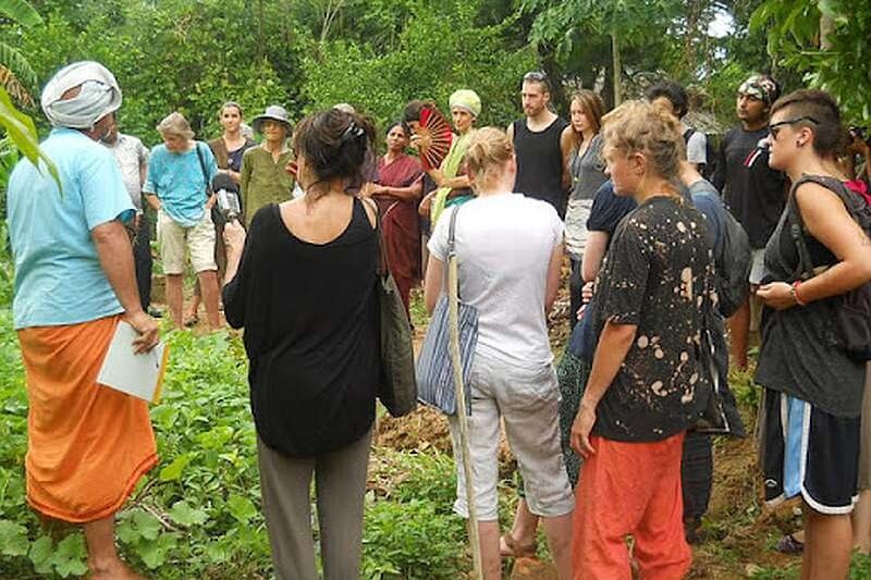 Organic Farming volunteering in Solitude (Auroville) 