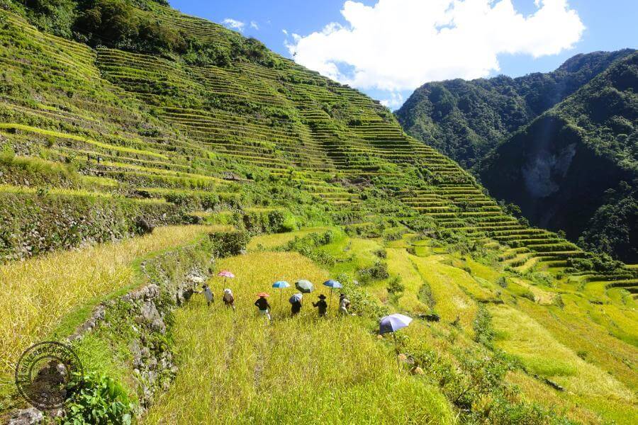 Batad Rice Terraces, Ifugao