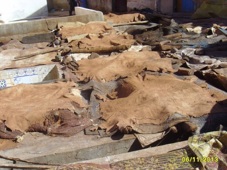 Animal skins drying to be made into leather products in Marrakech