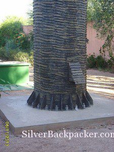 Base of Date Palm antenna