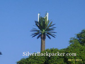 Date Palm Antenna Marrakesh