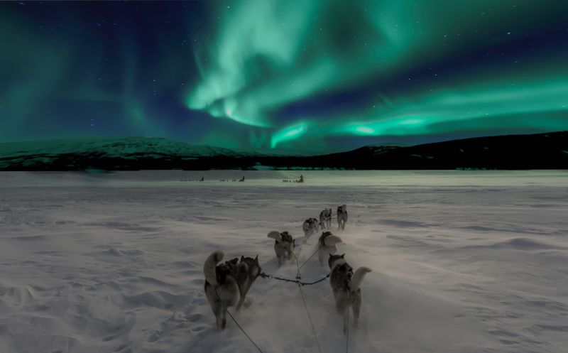 A Wake-up Call in Abisko, Sweden