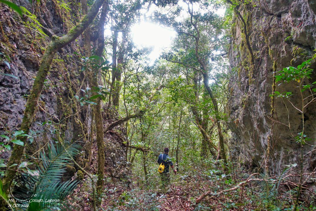 Hiking up Mt Pugao foothills in Lagayan, Abra Hiking up Mt Pugao foothills in Lagayan, Abra